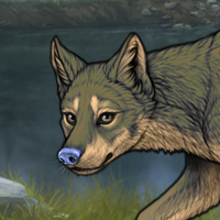 Female fox sell Headshot