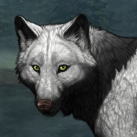 Wolf Headshot