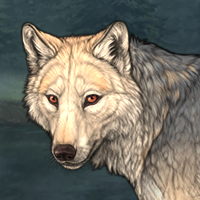 Wolf Headshot