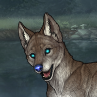 Nephline breed Selene Headshot