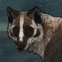 Badger F Headshot