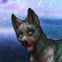 Zephyr Nebelstern Headshot