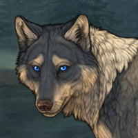 Wolf Headshot
