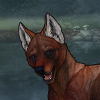 Thornpup Headshot