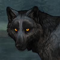 Wolf Headshot