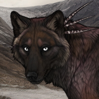 Wolf Headshot