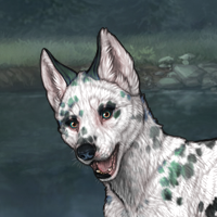 Sell Dalmatian Novus Headshot