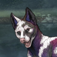 Piebald M Headshot