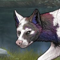 Piebald M Headshot