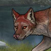 T2 Russet Fox Headshot