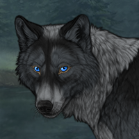 Wolf Headshot