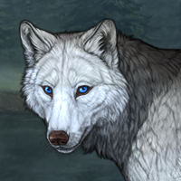 Wolf Headshot