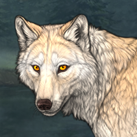 Wolf Headshot