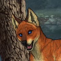 T3 Fox Male Headshot