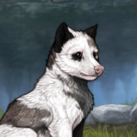 piebald: uneven Headshot