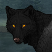 Wolf Headshot