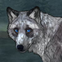 G3-WO9-lupos-merle Headshot