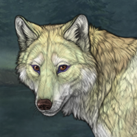 LaurelPelt Headshot