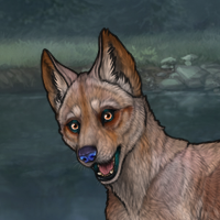 Enclave Pup Headshot