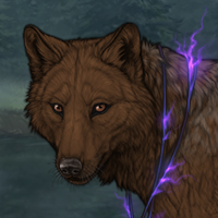 Wolf Headshot