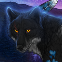 Wolf Headshot