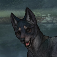 t3 blueschist Headshot