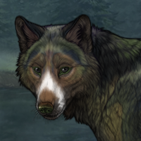 Blueschist Headshot