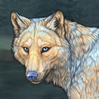 Willow Headshot