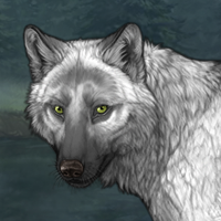 Wolf Headshot