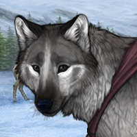 Wolf Headshot