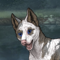 piebald torn Headshot