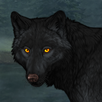 Wolf Headshot