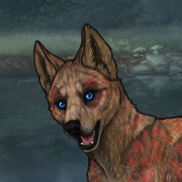 fawn f Headshot
