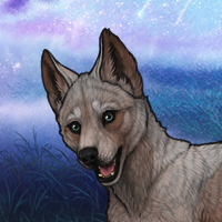 Female pup Headshot