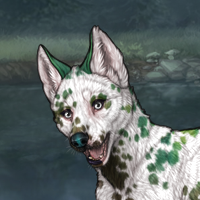 Dalmatian Pie Headshot