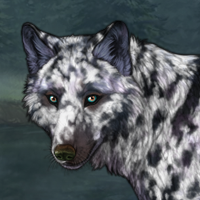 ᴘᴀɴᴅᴏʀᴀ Headshot