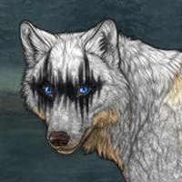 Wolf Headshot