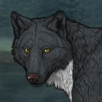 Wolf Headshot