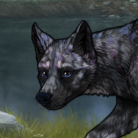 Blueschist Headshot