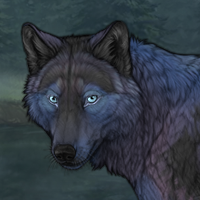 Galaxy Winterwolf Headshot