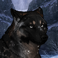 Mara Headshot