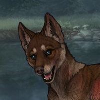 Enclave Pup Headshot