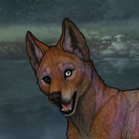 Dravite 6M Vixen Het Eye Headshot