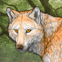 Wolf Headshot
