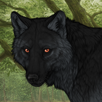 Wolf Headshot