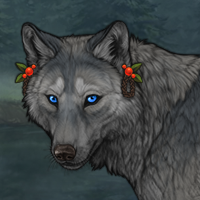 Wolf Headshot
