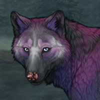 Moondream Winterwolf Headshot