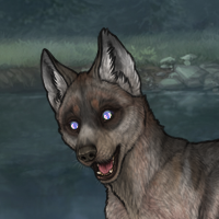 ((Pup))Sell Headshot