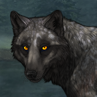 Marble Headshot