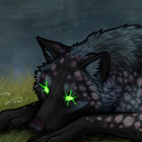 Nightshade Headshot